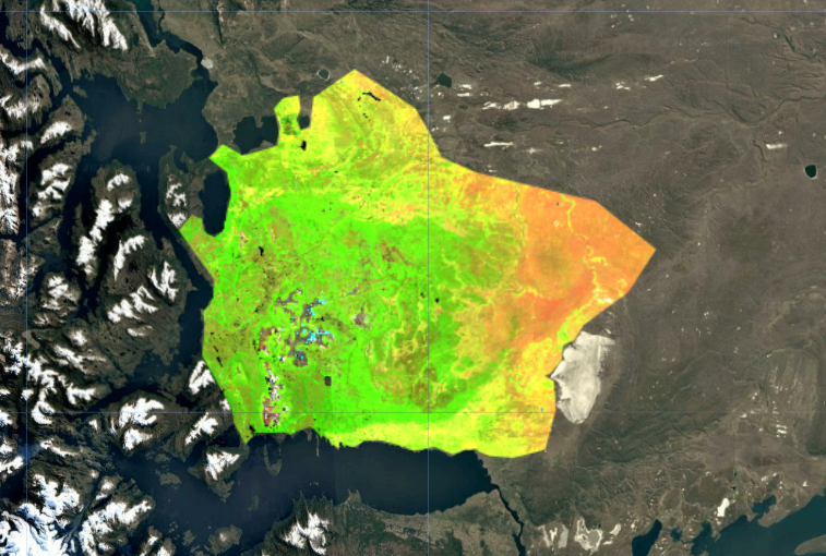 Sentinel-2 False Color Composite