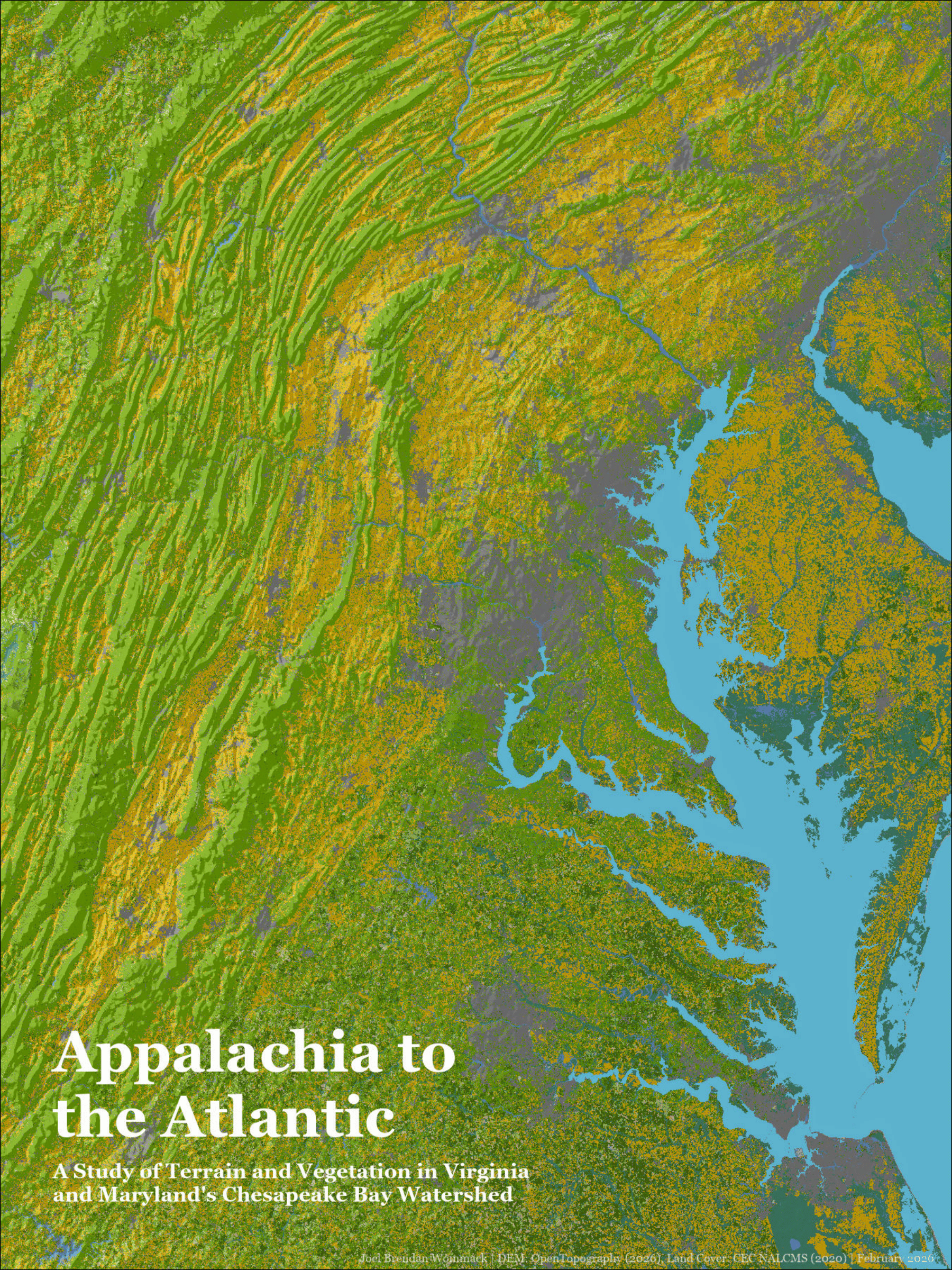 Georeferenced Historical Forest Map